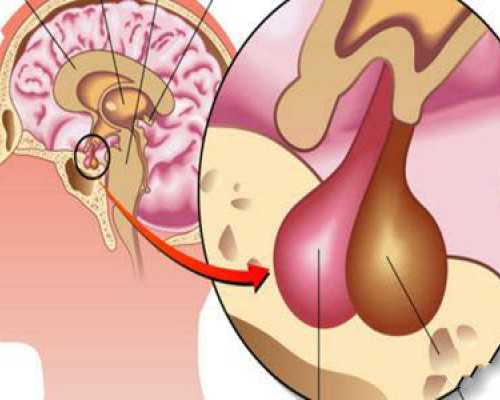 重庆代怀生子自怀试管,重庆助孕机构排名,重庆助产学校有哪些！