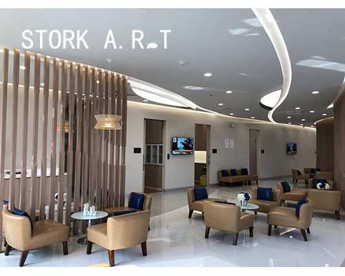 重庆有代生小孩的吗,北京三代供卵试管包男孩费用多少？附具体费用明细？-重