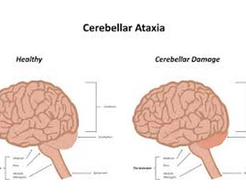 重庆私人供卵医院,2026
重庆大坪医院试管婴儿成功率一览，附试管成功经验分享