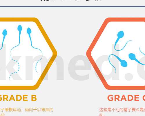 孕前饮食搭配推荐食谱图