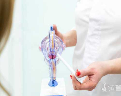 重庆代孕中心价格表|内江可以做试管婴儿不？试管成功全靠这些方法！