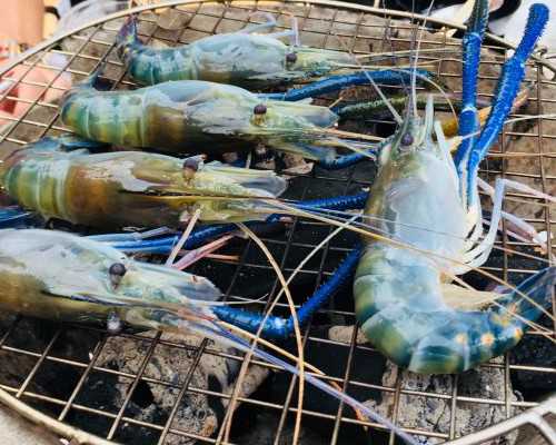 重庆哪家代孕机构靠谱,重庆第三代试管婴儿是如何实现性别选择的？-网上挂医