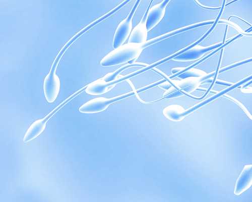 重庆代生正规公司,重庆医科大学附属第二医院现在做试管婴儿的人多吗？需要