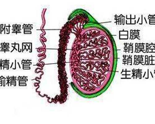 重庆代怀孕,重庆做试管婴儿成功后孕酮低该怎么办？