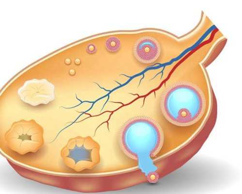 重庆双胞胎代怀网,重庆试管婴儿取卵手术会不会痛？