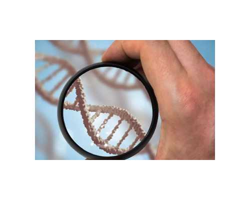 重庆代孕哪家正规,重庆妇幼保健院试管交流群（QQ微信群，纯经验分享，严禁广