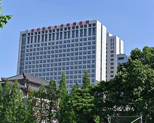 重庆长海医院生殖中心能不能申请供卵做试管吗？