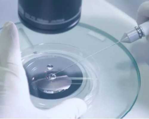 重庆哪里借卵靠谱,重庆可以做pgd试管选择性别吗？