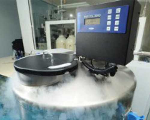 重庆供卵费用咨询,重庆西南医院试管费用多少钱？_南京供卵机构排名_试管移植