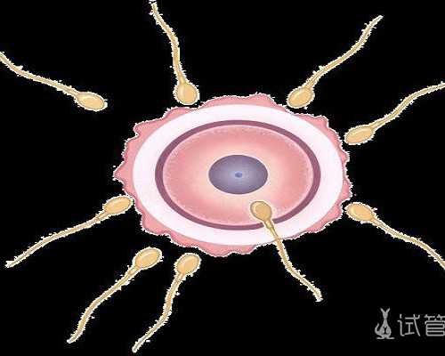 重庆湘雅医院三代试管婴儿花了20万？真相：选性别其实不贵