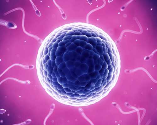 重庆帮人代生费用,重庆附一院试管多少钱？-冻囊胚移植什么方案最好_试管促排