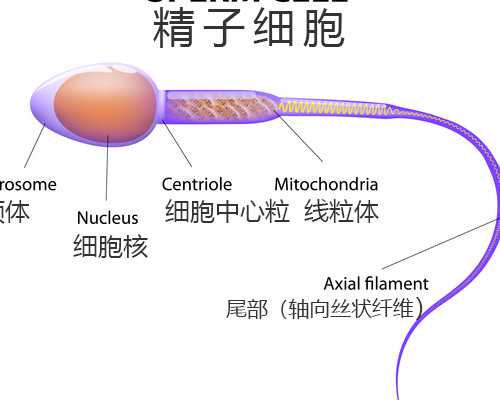 重庆西南或新桥医院做女性结扎后输卵管复通手术需要哪些证明?大概多少钱？