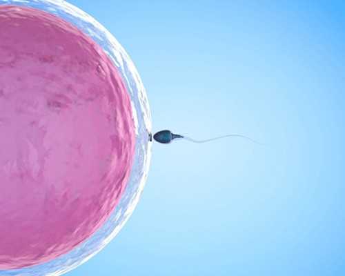 重庆去试管代怀,重庆妇幼试管姐妹群（微信群QQ群），经验交流群！