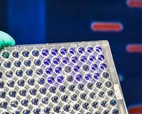 重庆代生男孩包成功,梅州目前只有黄塘医院能做试管婴儿，费用跟成功率怎样