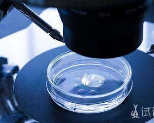 重庆代怀包生儿子,重庆试管婴儿费用可以报销吗？可以使用医保扣款吗？-上海