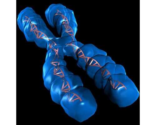 重庆代孕产子的医院,重庆哪家供卵中心好？试管第二次移植，说说我的感受