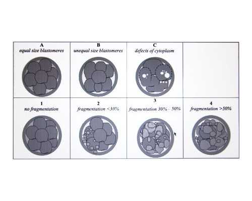 重庆民营医院供卵,重庆做三代试管婴儿要多少钱？费用6万够吗？