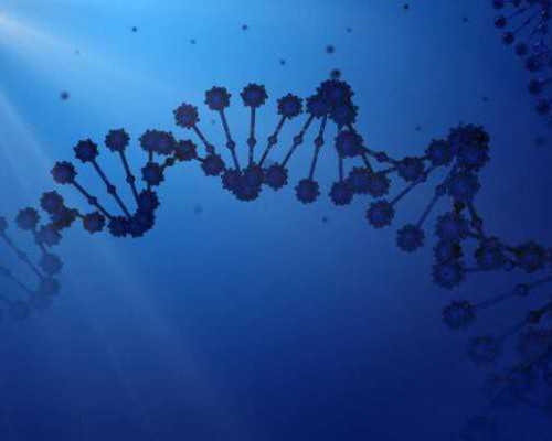 重庆试管代孕真实价格|铁岭试管婴儿医生推荐-2026铁岭口碑好的试管医生排名