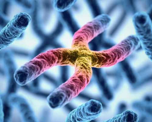 重庆代孕供卵包成功,重庆三代试管成功率高不高？