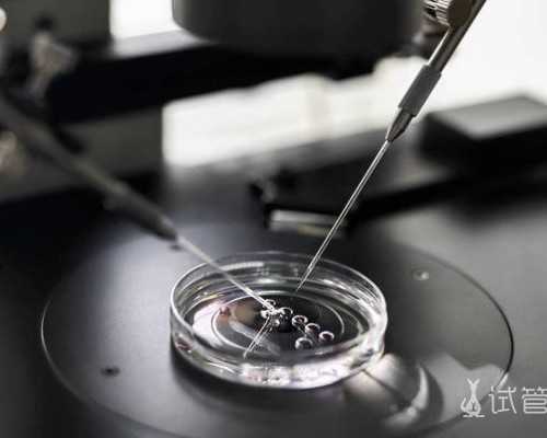 重庆代怀孩子男孩,我想在重庆做试管，有没有姐妹能分享那最权威的医院有那