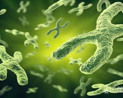 重庆代怀小男孩,2026年做重庆三代试管婴儿一般要多少钱？-试管为什么长方案改