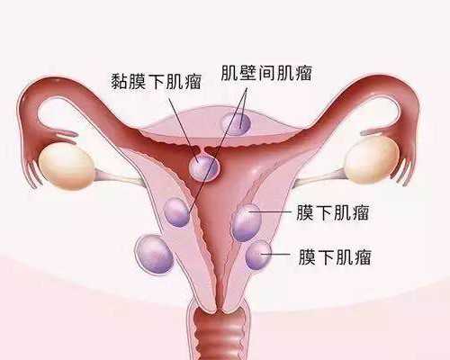 重庆单身去试管代怀 重庆四季待产包 ‘30b超单看男女’