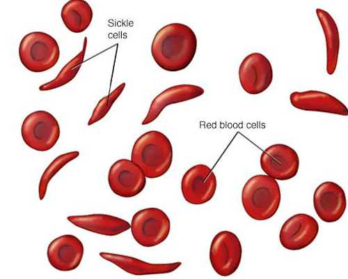 重庆好大夫代怀网,重庆妇幼能做供卵试管吗？附试管详细流程-供卵的法律规定