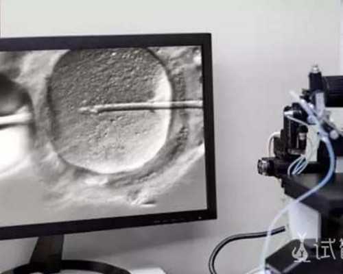 B超检查如何诊断早孕？附试管价格详解！