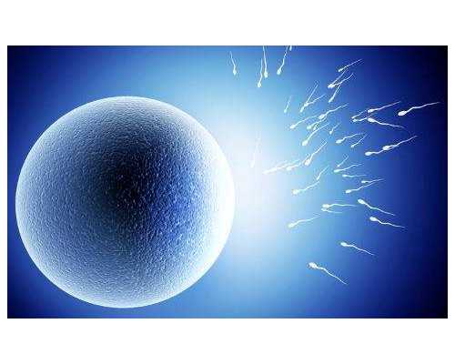 重庆代怀机构网站,「重庆哪里做试管最权威」这些疾病可能会导致女性不孕