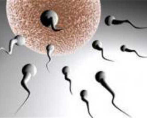 总和生育率3意味着什么？重庆财经大学中国公共财政研究院副院长于洪解读人