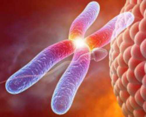 重庆供卵正规代怀,试管婴儿夜针怎么打？试管夜针是什么？_哪个医院怀孕一个