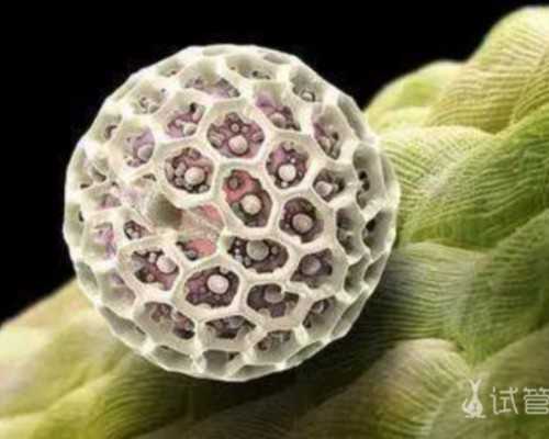 重庆康健妇婴医院试管收费正规吗?费用明细表是怎样的?具体包括哪些项目?