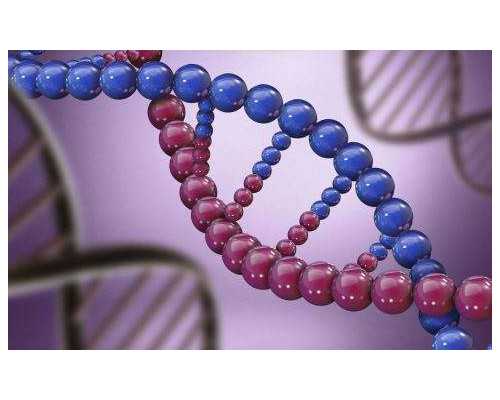 重庆试管婴儿多少钱,重庆试管婴儿中介机构推荐！重庆试管婴儿收费标准！