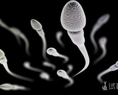 重庆包成功代怀网,2026年在重庆做试管婴儿大约多少钱？（附费用明细）-试管前