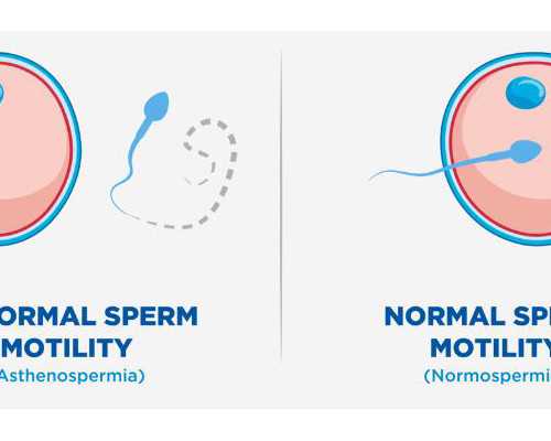 重庆北部妇产医院试管婴儿包成功的消息是真实的吗？