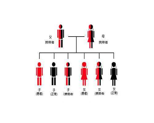 重庆代孕中介服务|2026北大人民医院做试管婴儿多少钱？附试管流程费用！