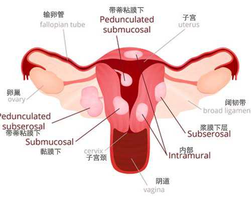 重庆公司代怀产子,试管婴儿周期中取卵数与胚胎数量为什么会不同_试管促排一