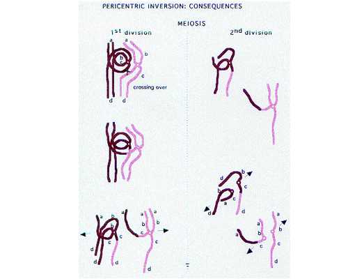 重庆哪里代孕最好,到美国到底该怎么选试管婴儿医院：医院总体介绍_试管移植