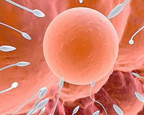 重庆代生公司地址,北京民间地下供卵试管机构（重庆助孕优贝贝助孕）-长方案