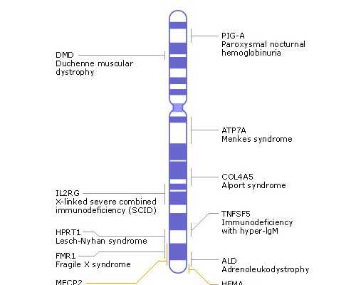 重庆代生孩子龙凤胎 2026重庆精子库医院排名，附重庆捐精补助费用明细 ‘孕囊