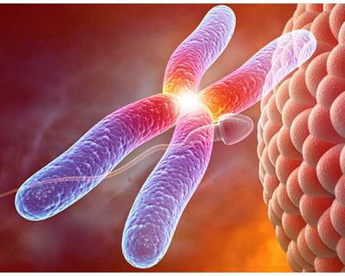 重庆市妇幼试管体检费用-重庆妇幼保健试管婴儿