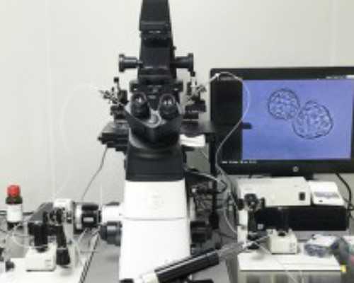 重庆试管用供卵条件 重庆有供卵中心吗? ‘彩超看男女’