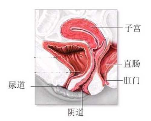 重庆试管都有哪些医院好：重庆试管都有哪些医院