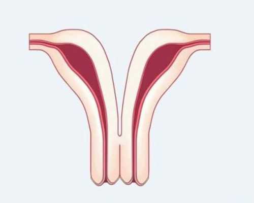 重庆代怀包成功公司,试管婴儿降调中为什么我的卵泡变少了？-重庆七星岗妇幼