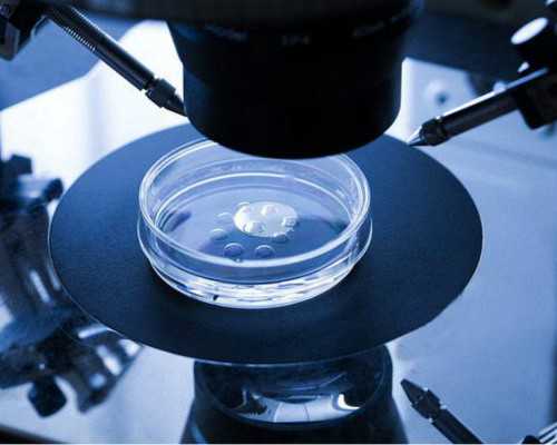 世界宫腔镜之父夏恩兰：我的技术在重庆天伦医院得以传承，对河南患者我也就