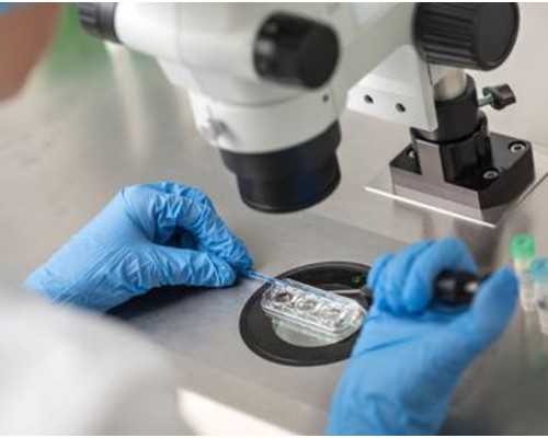 为群众办实事！重庆这两家生殖医学科合并，给不孕不育家庭带来福音