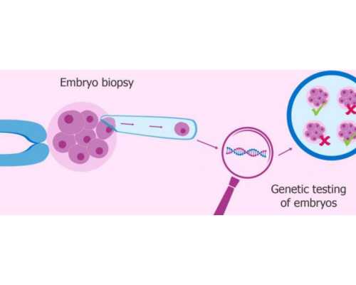 重庆有供卵并代孕的医院|2026镇江三代试管婴儿生混血婴儿费用明细表出炉，各