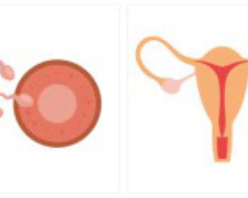 重庆供卵代生医院,解析：美国试管婴儿取卵痛苦吗？_移植第八天流子宫内膜碎