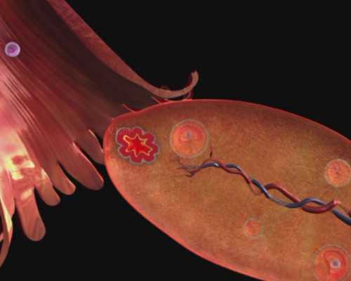 重庆试管代孕双胞胎价格|北大深圳医院三代试管婴儿包生男孩费用多少，15万费