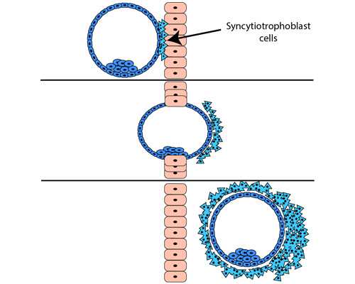 hcg结果是2还有希望吗*代生孩子医院